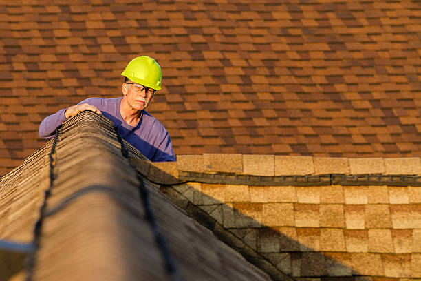 Best Roof Gutter Cleaning  in Velda City, MO